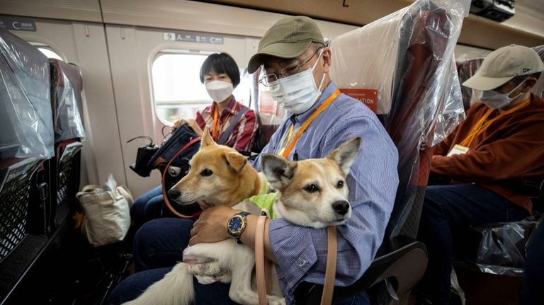 Los perros pudieron viajar sentados con sus dueños en el tren bala en Japón.
