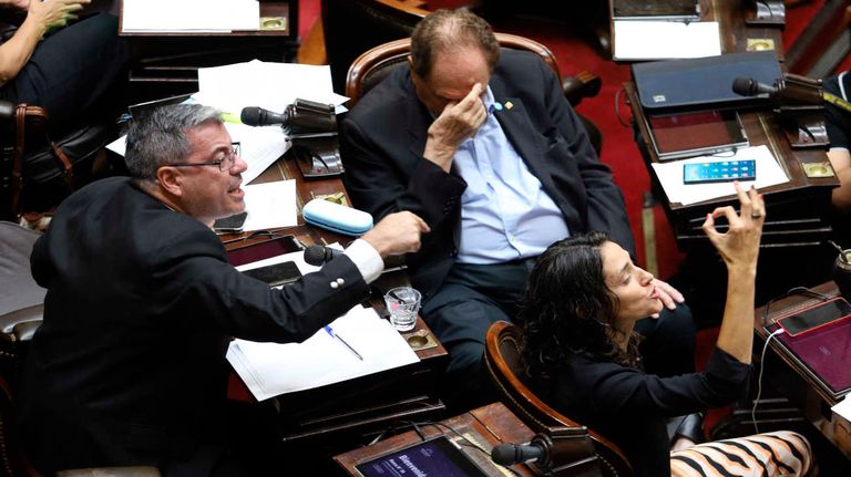 La Cámara de Diputados comenzó la sesión donde se tratará el proyecto de ficha limpia 20250212