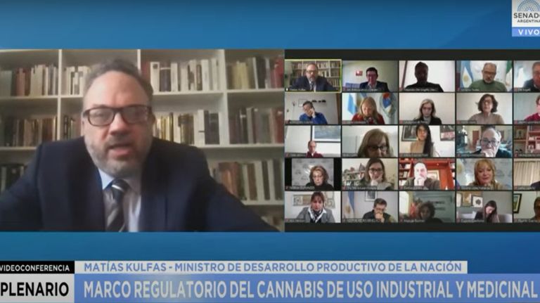 Matías Kulfas llevó el proyecto para producir cannabis medicinal y cáñamo industrial