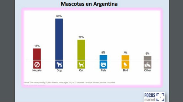 Mascotas costo 21112019