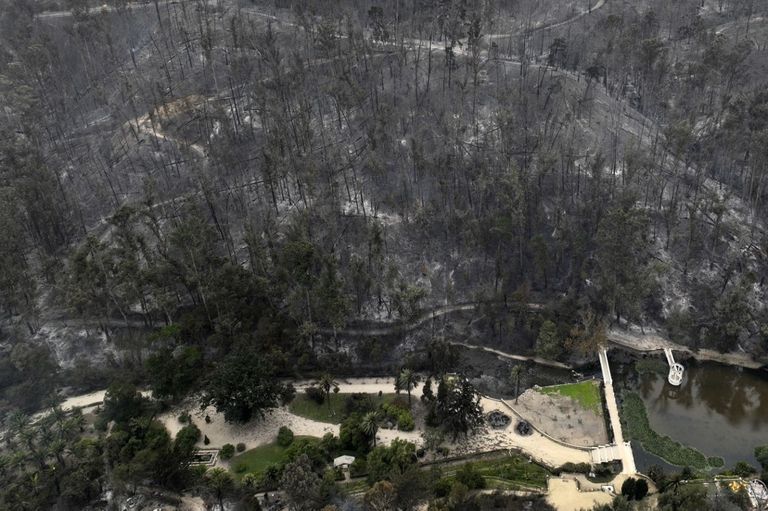 incendios chile