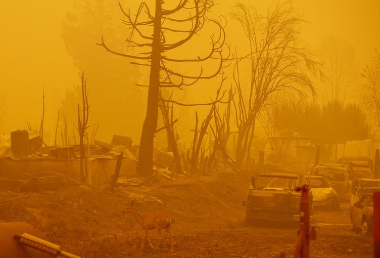 incendio dixie california