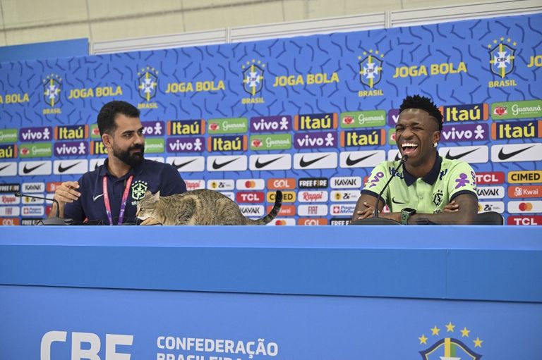 Vinicius 20221207
