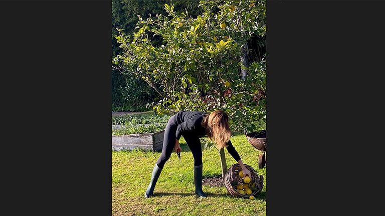 Juliana Awada cosechando Limones 20200708