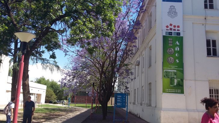 Facultad Odontología