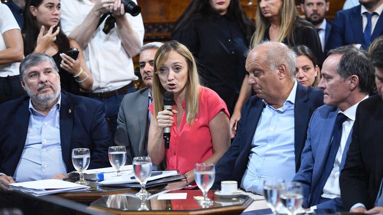 La Comisión Bicameral 20240229