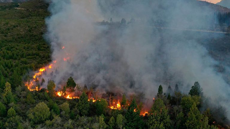 Incendio forestal en Río Negro 20210126