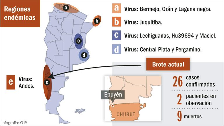 Hantavirus, un problema serio.