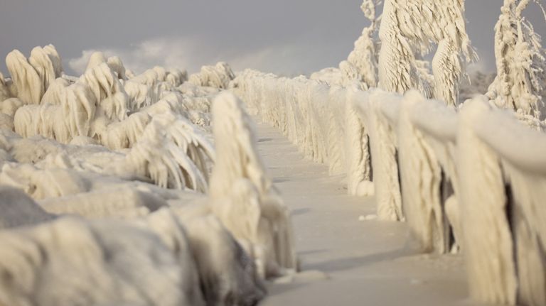Brutal nevada en Estados Unidos