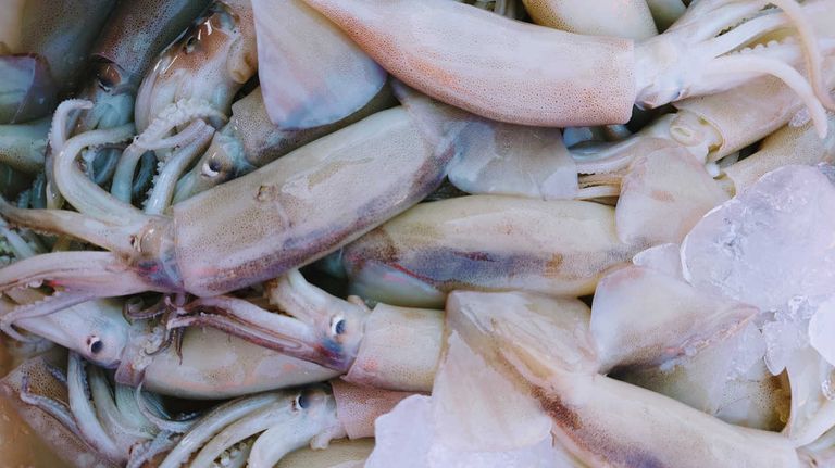 Pescado fresco 20230403