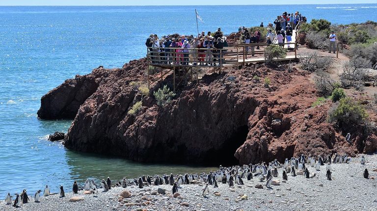 Punta Tombo 20211221