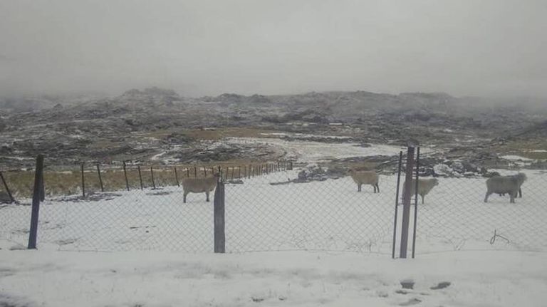 Nevada en Córdoba 20210504