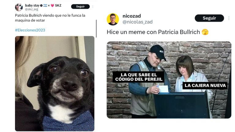 Memes Patricia Bullrich