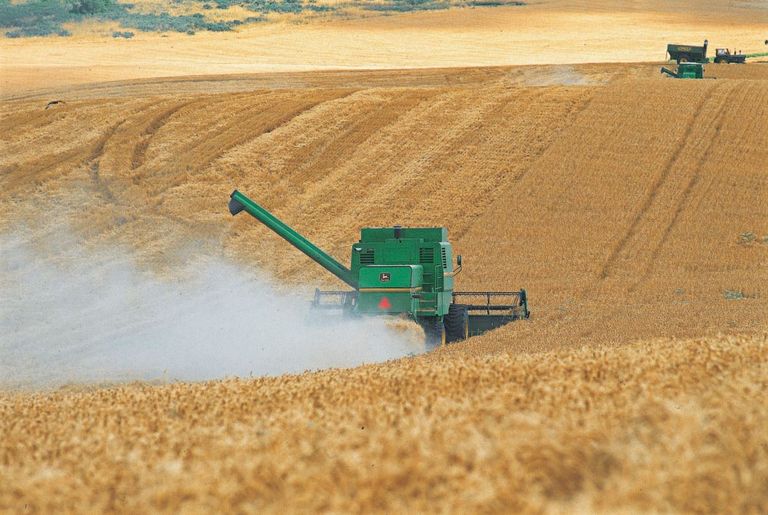agroexportaciones