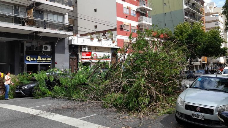 temporal lluvia viento destrozos g_20220324