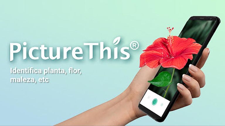 Identificador de plantas - aplicación