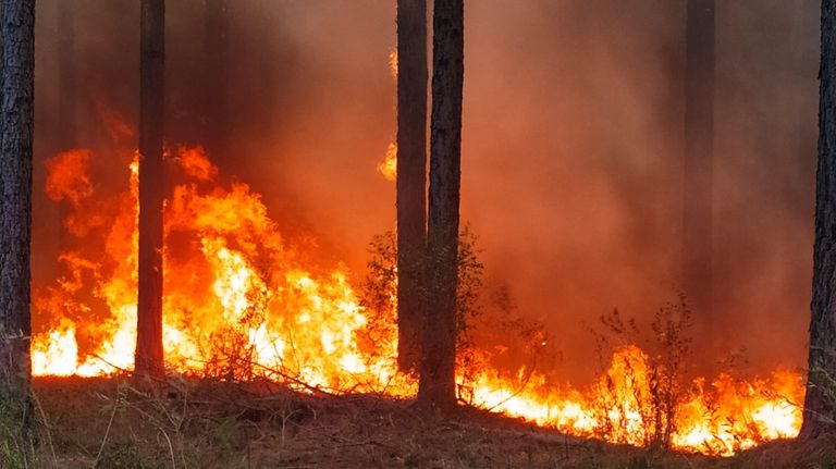 incendio forestal en Entre Ríos
