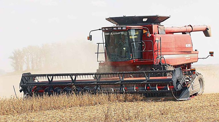 20220917_campo_cosecha_cedoc_g