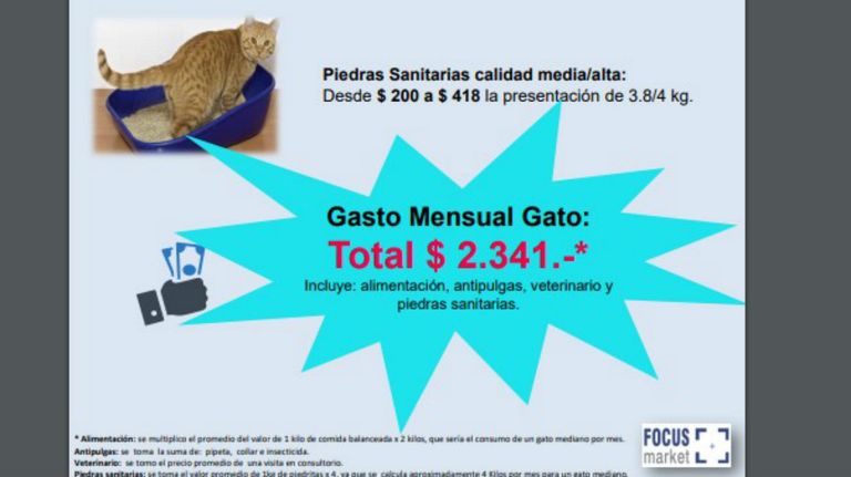 Mascotas costo 21112019