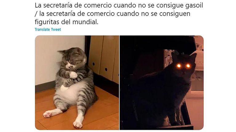 Memes 20220920