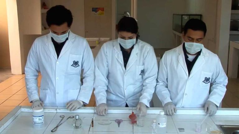 "Morgue: papiloscopía y levantamiento de rastros en cadáveres"
