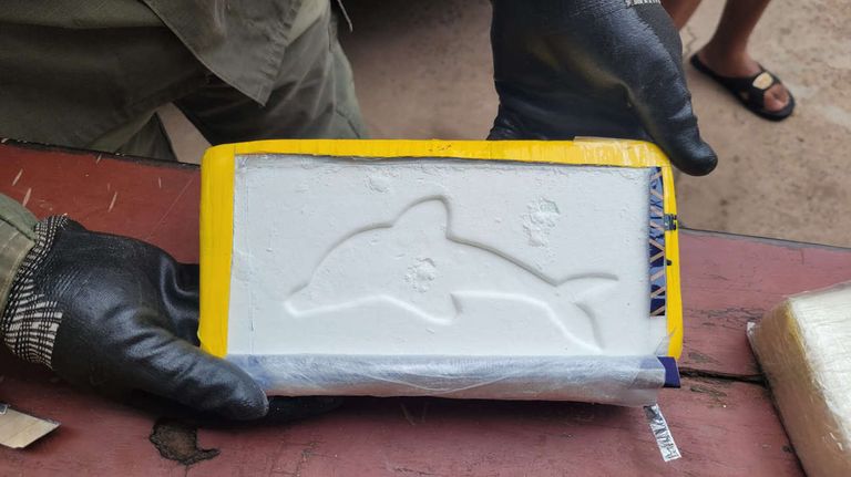 Gendarmería Nacional secuestró en Santiago del Estero 134 kilos de cocaína 20240408