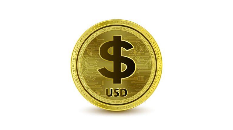USDC Cripto dólar 20220705