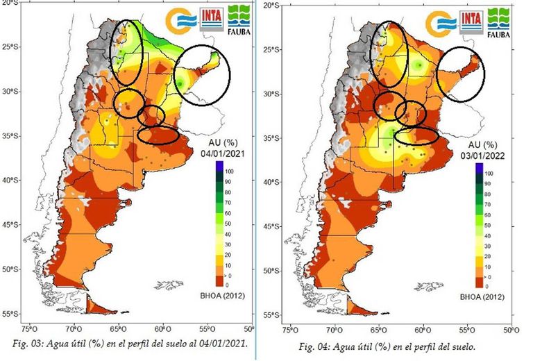 Qué pasará con la soja en 2022 20220110