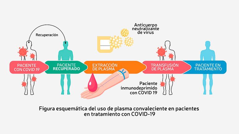 Grafico plasma
