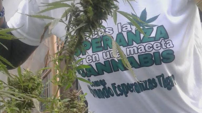 autismo cannabis 20200828