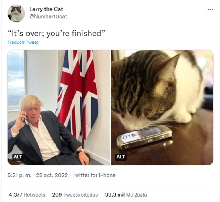 Larry el Gato 20221024