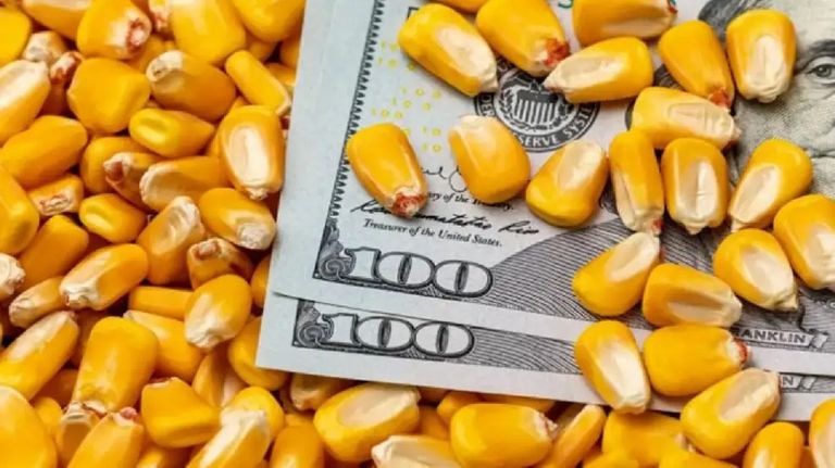 Dólar por el agro