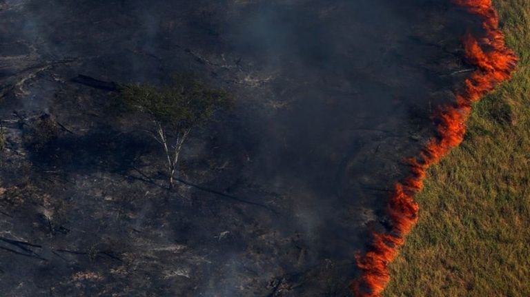 amazonas fuego 5 08232019