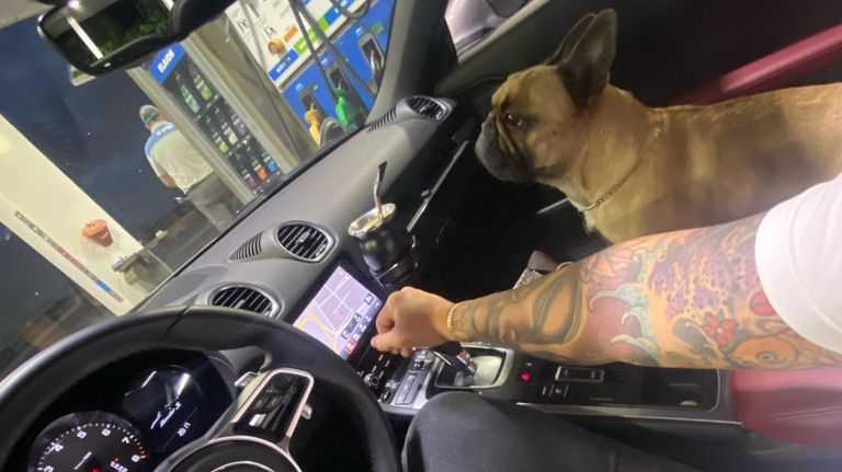 2023 07 30 Perro Perez Algaba