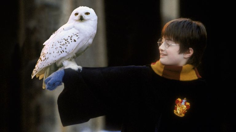 0119_harry_potter