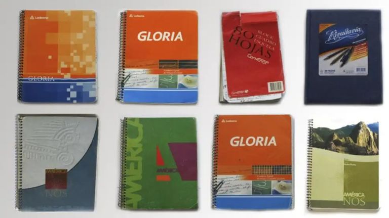 Caso cuadernos centeno 20241113