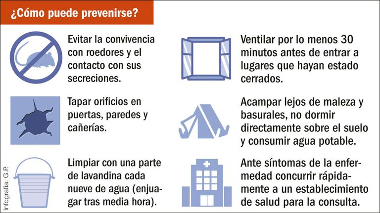 Hantavirus, un problema serio.