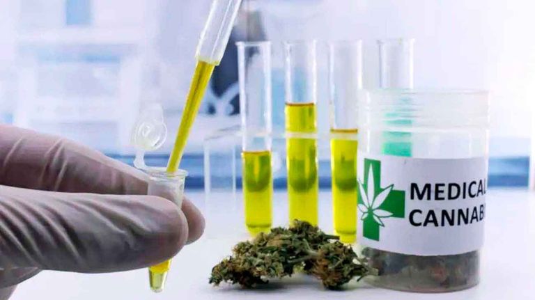 20221015_cannabis_medicinal_cedoc_g