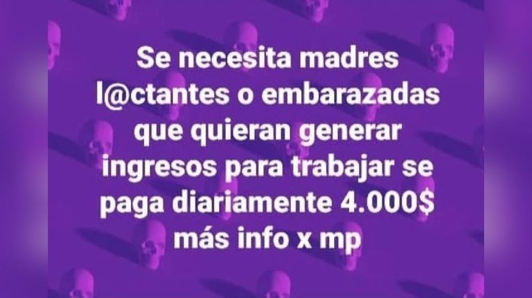 vampiro blanco 20220825