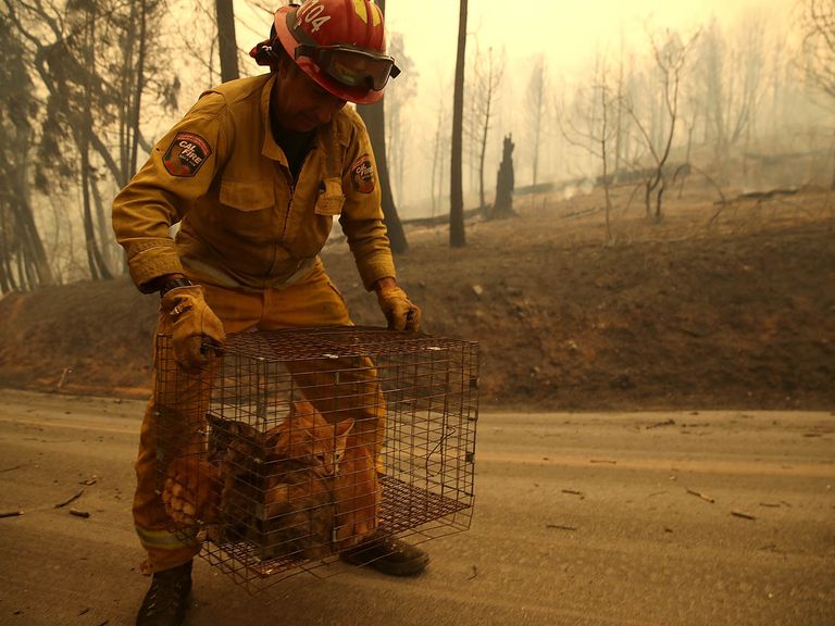 incendio-california-10112018