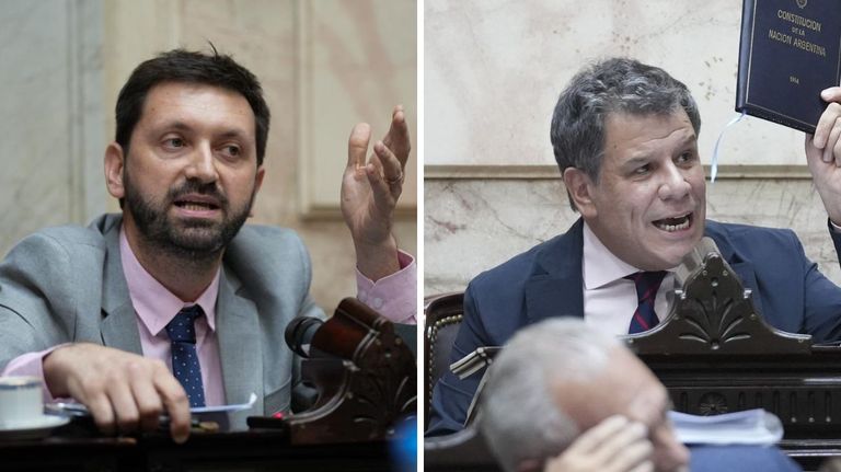 Pablo Juliano y Facundo Manes, los diputados de la UCR que se opusieron a la ley ómnibus