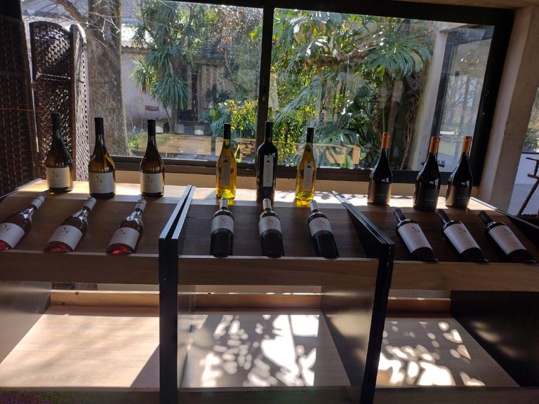 Bodega Montevideo