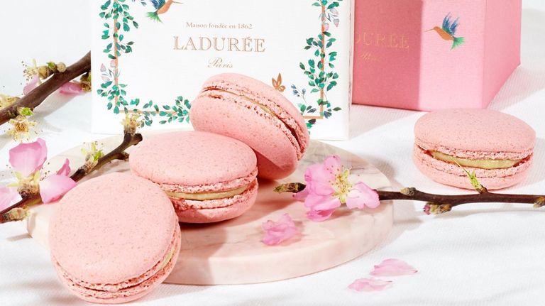 panaderia francia