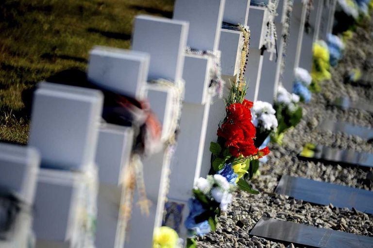 El cementerio de Darwin.