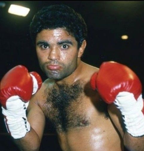 Laciar Boxeador