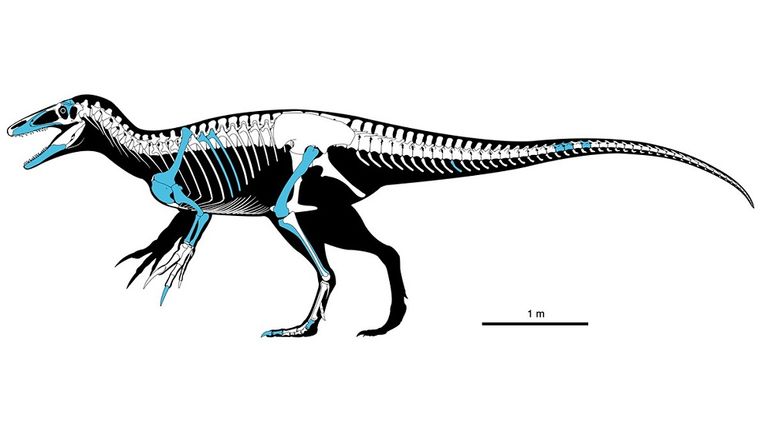 Nuevo_Dino_en_Patagonia