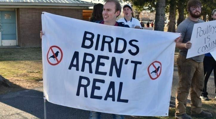 Birds are not real 20210719