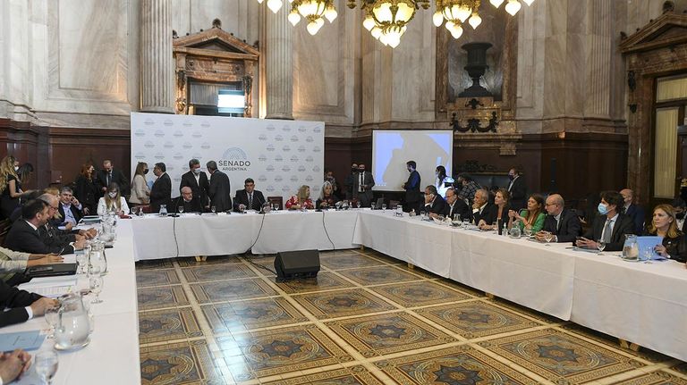 Comision del Senado 20220406