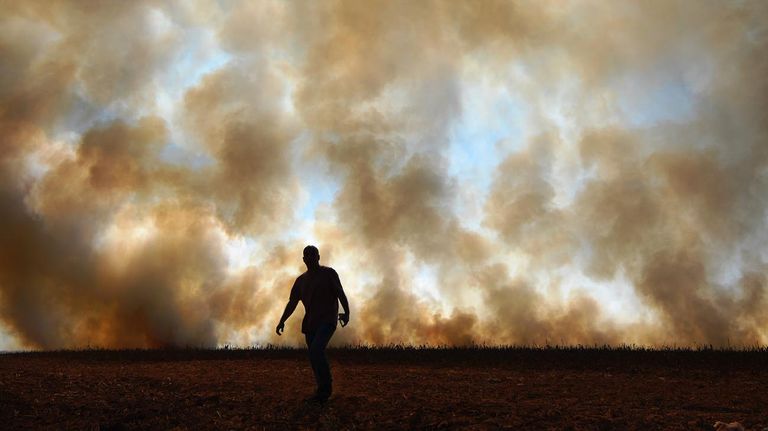 Incendios en Amazonas y Pantanal Brasil 20201015