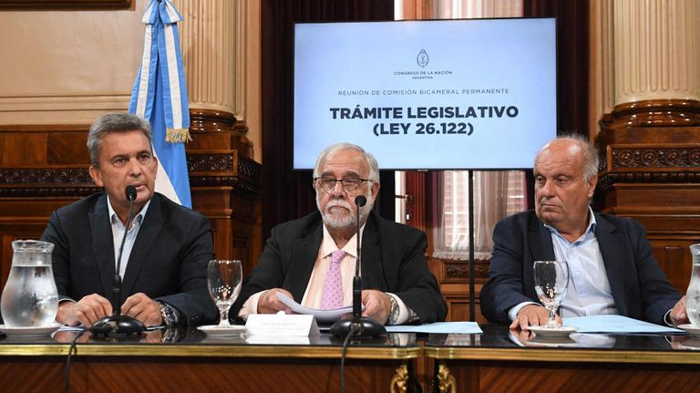 La Comisión Bicameral 20240229